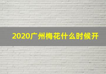 2020广州梅花什么时候开