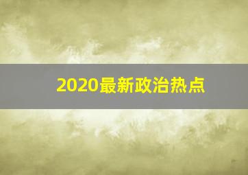 2020最新政治热点