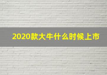 2020款大牛什么时候上市