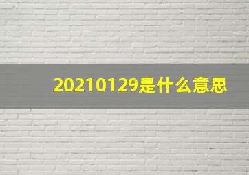 20210129是什么意思