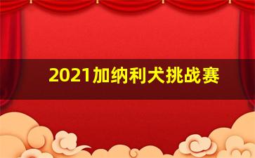 2021加纳利犬挑战赛