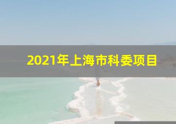 2021年上海市科委项目