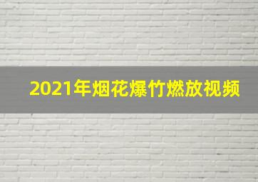 2021年烟花爆竹燃放视频