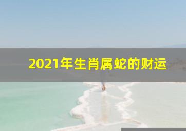 2021年生肖属蛇的财运