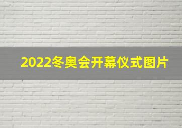 2022冬奥会开幕仪式图片