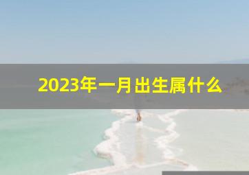 2023年一月出生属什么