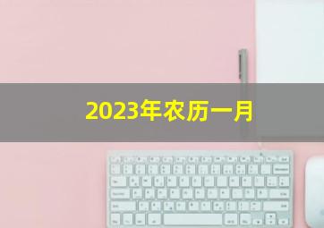 2023年农历一月