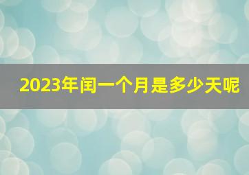 2023年闰一个月是多少天呢