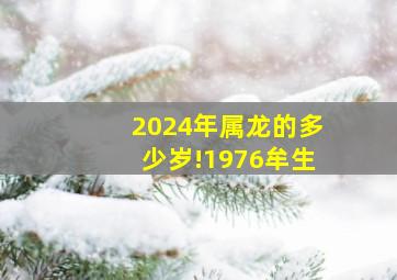 2024年属龙的多少岁!1976牟生