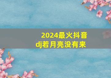 2024最火抖音dj若月亮没有来