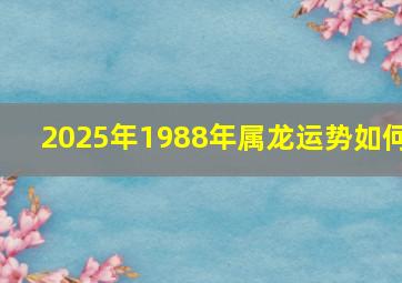 2025年1988年属龙运势如何