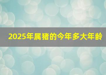 2025年属猪的今年多大年龄