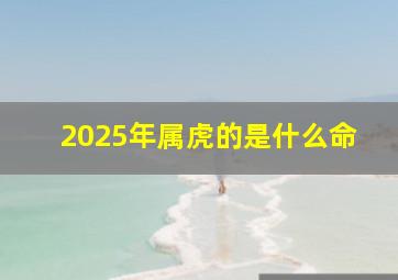 2025年属虎的是什么命