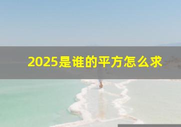 2025是谁的平方怎么求