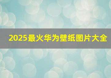 2025最火华为壁纸图片大全