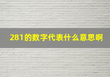 281的数字代表什么意思啊