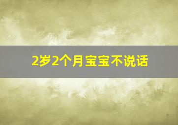 2岁2个月宝宝不说话