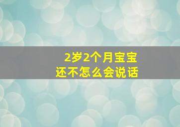 2岁2个月宝宝还不怎么会说话