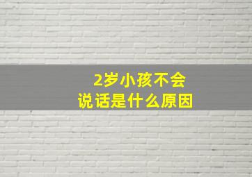 2岁小孩不会说话是什么原因