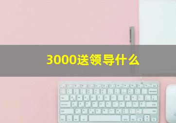 3000送领导什么