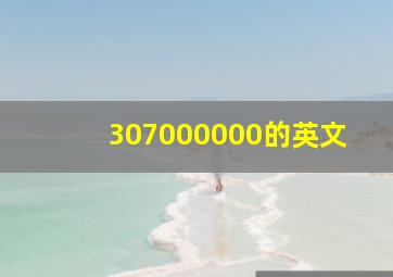 307000000的英文