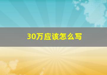 30万应该怎么写