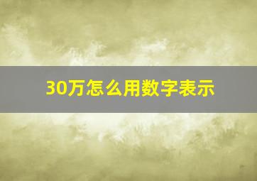 30万怎么用数字表示