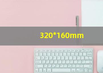 320*160mm