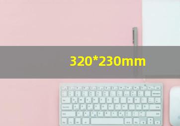 320*230mm