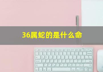 36属蛇的是什么命