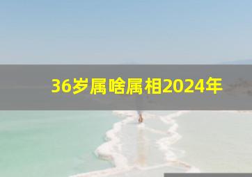 36岁属啥属相2024年