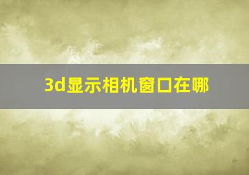 3d显示相机窗口在哪