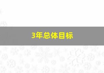 3年总体目标