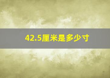 42.5厘米是多少寸