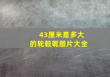 43厘米是多大的轮毂呢图片大全