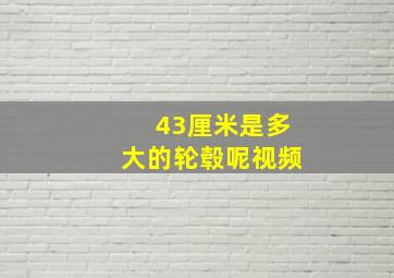 43厘米是多大的轮毂呢视频