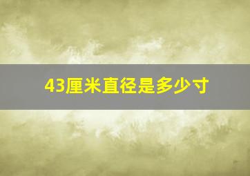 43厘米直径是多少寸