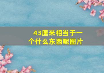 43厘米相当于一个什么东西呢图片