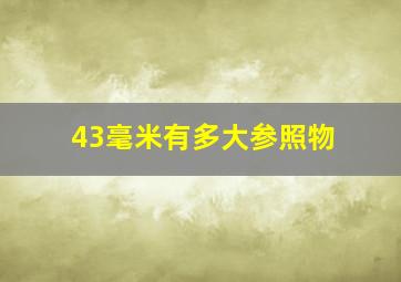 43毫米有多大参照物