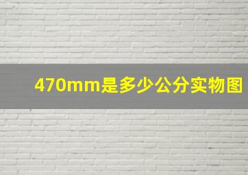 470mm是多少公分实物图