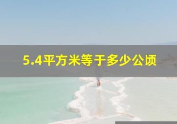 5.4平方米等于多少公顷