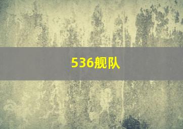 536舰队