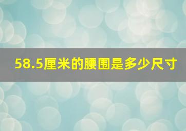 58.5厘米的腰围是多少尺寸