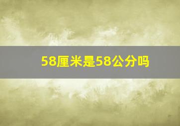 58厘米是58公分吗