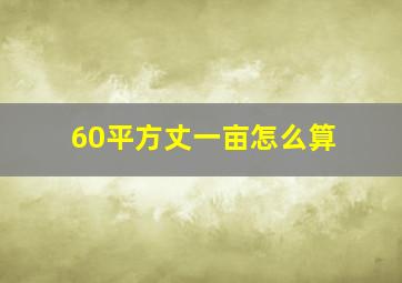 60平方丈一亩怎么算