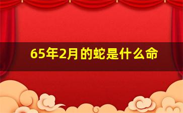 65年2月的蛇是什么命