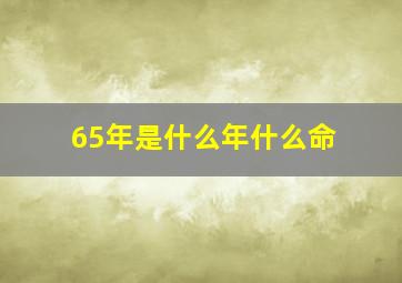 65年是什么年什么命