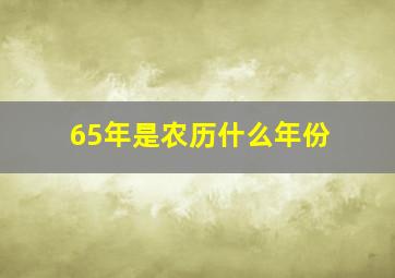 65年是农历什么年份