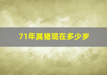 71年属猪现在多少岁