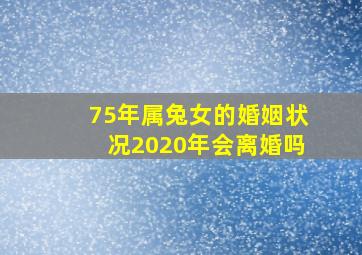 75年属兔女的婚姻状况2020年会离婚吗